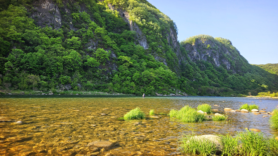 1-3. 쏘가리의 서식 환경 및 분포 특성