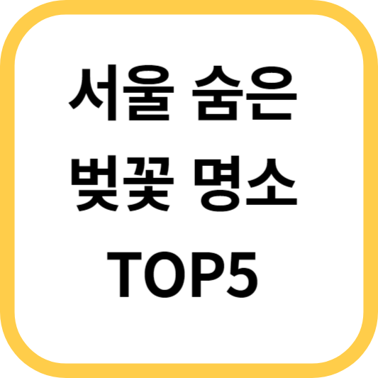 서울 숨은 벚꽃 명소