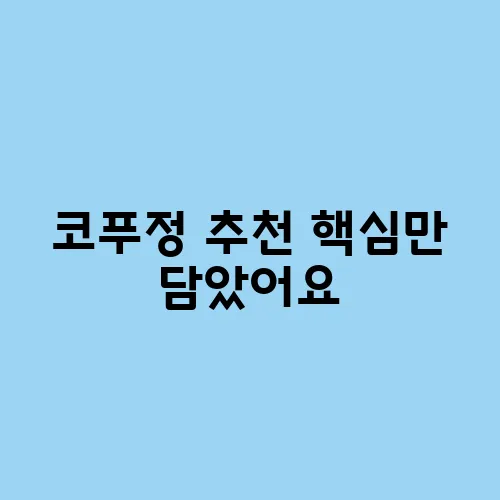 코푸정 추천 핵심만 담았어요