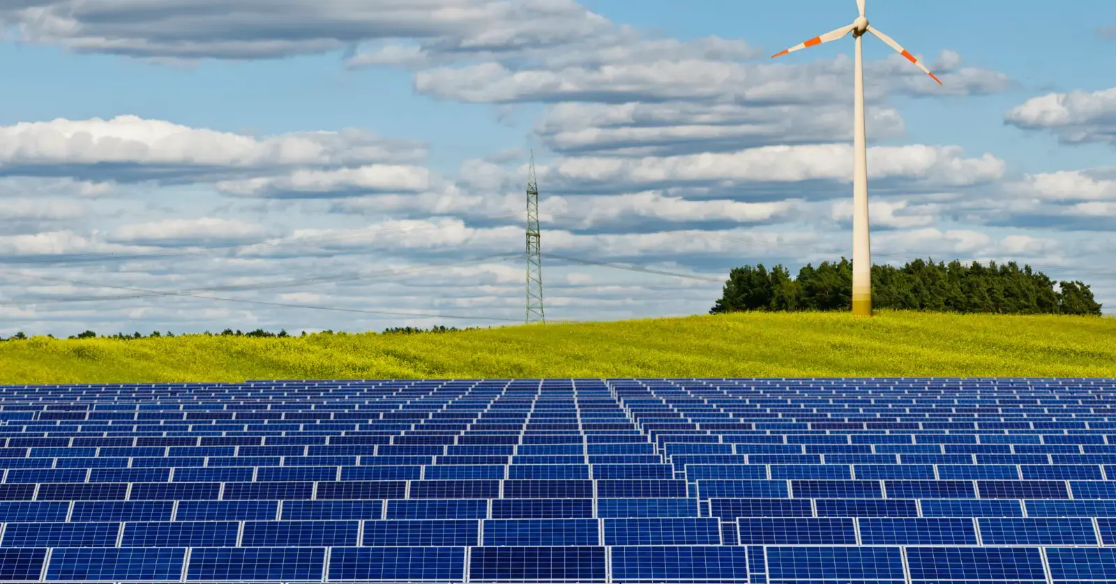 ESG 경영 실천 사례: 기업은 이렇게 한다