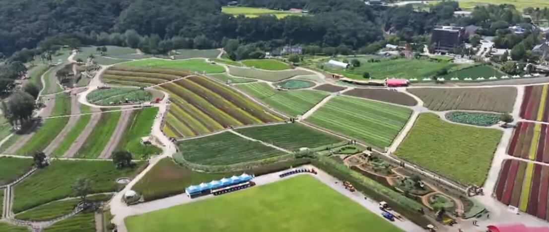 철원 여행지 추천 가을 풍경