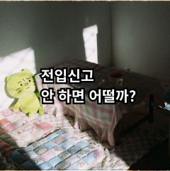 전입신고 안 하면 생기는 일과 주의사항 설명