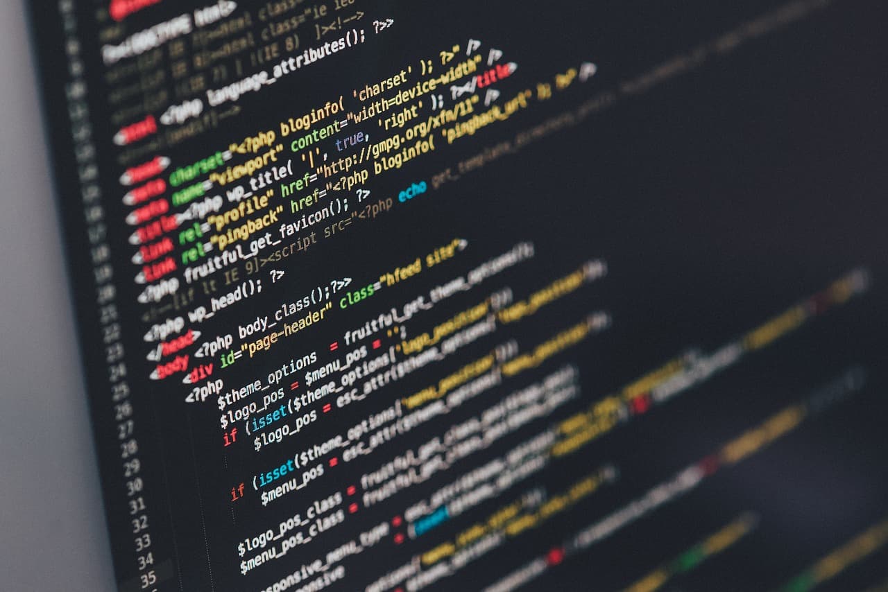 파이썬? SQL? 어떤 프로그래밍 언어를 배워야 할까?