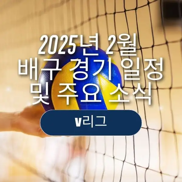 2025년 2월 배구 경기 일정