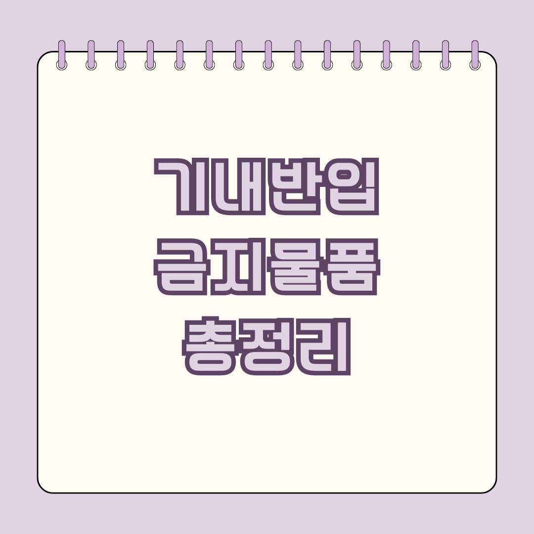 기내반입 금지물품