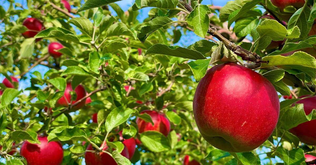 가을여행&#44; 당신은 어디로 떠나시나요?