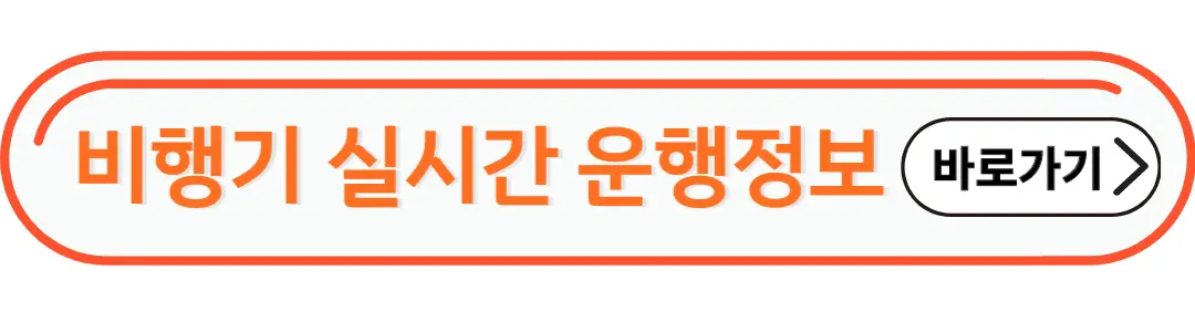 비행기 실시간 운행정보