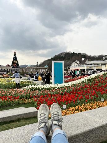 에버랜드 자유이용권 할인 최신 정보