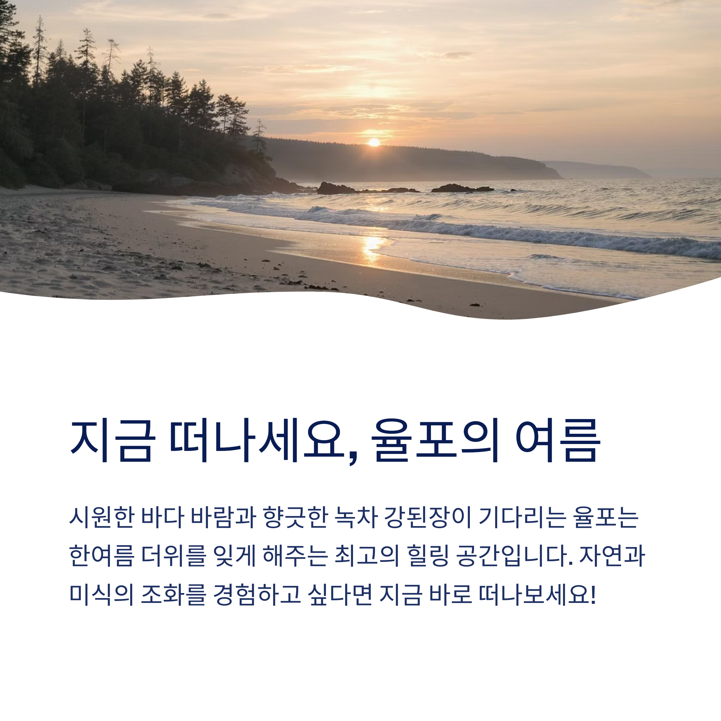 율포의 여름