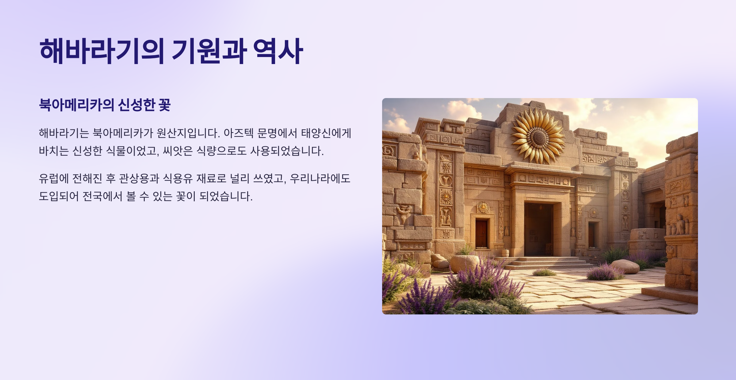 기원과 역사