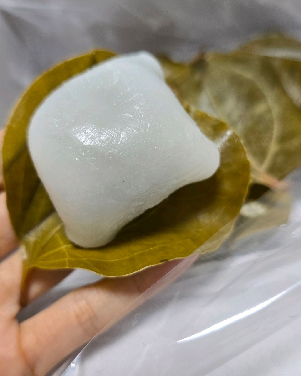 생생정보통 맛집오늘방송 정보