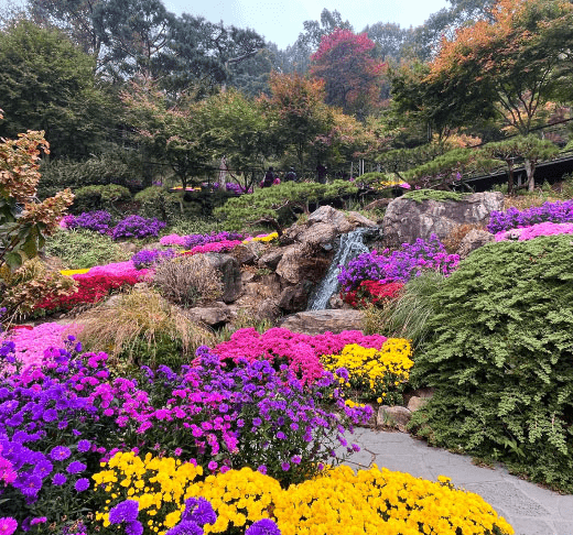 화담숲 홈페이지 예약 사진