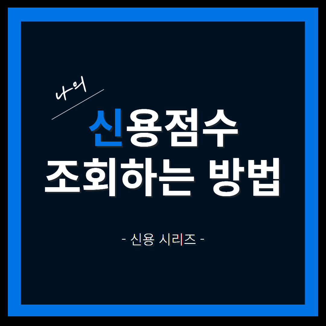 내 신용점수 조회