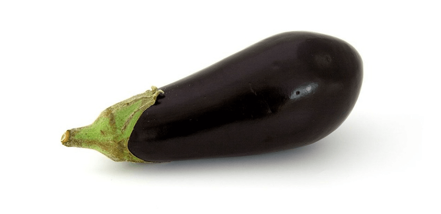 채소 가지 사진 - 12