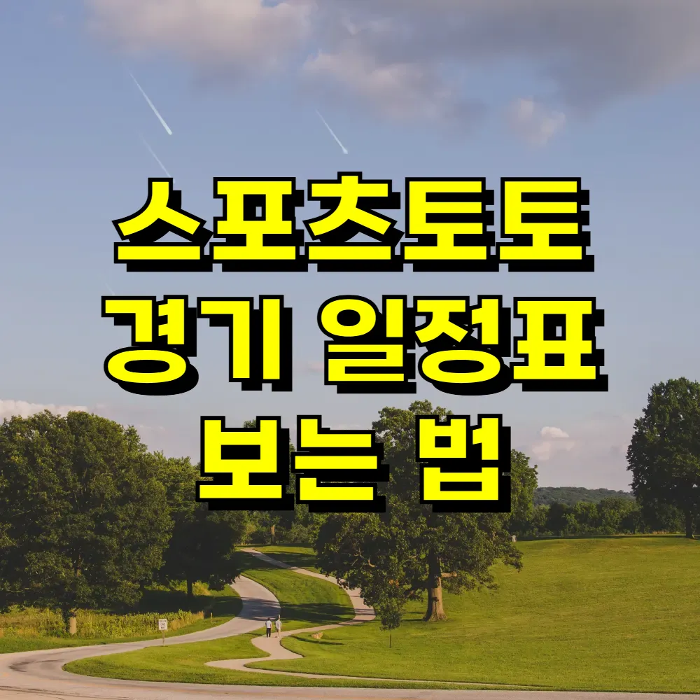 스포츠토토 경기 일정표 보는 법