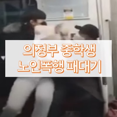 의정부 중학생 노인폭행