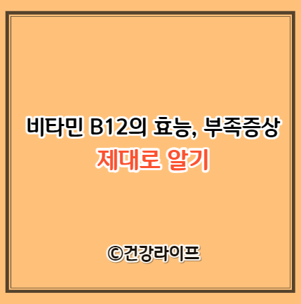 비타민 B12의 효능&#44; 부족증상
