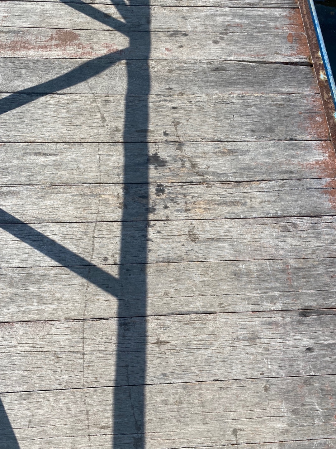 사량도 갑오징어 포인트 먹물자국