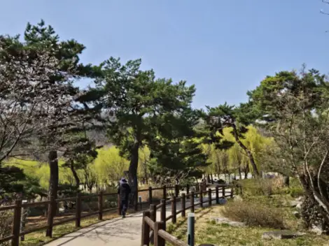 봄에가볼만한곳-북서울꿈의숲길