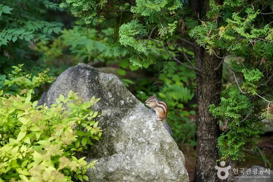 7fac9c66-f908-459d-b6c4-39f3bdd5d8ec