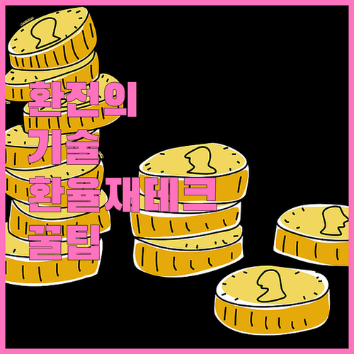 환전의 기술 환율 변동성을 이용한 재