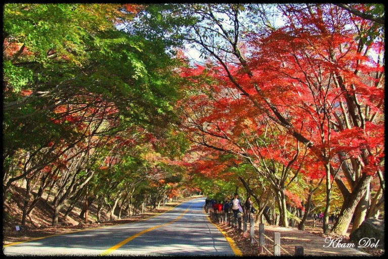 2024 가을&amp;#44; 국내 단풍 명소 추천: 절정 시기와 여행 팁까지 완벽 가이드