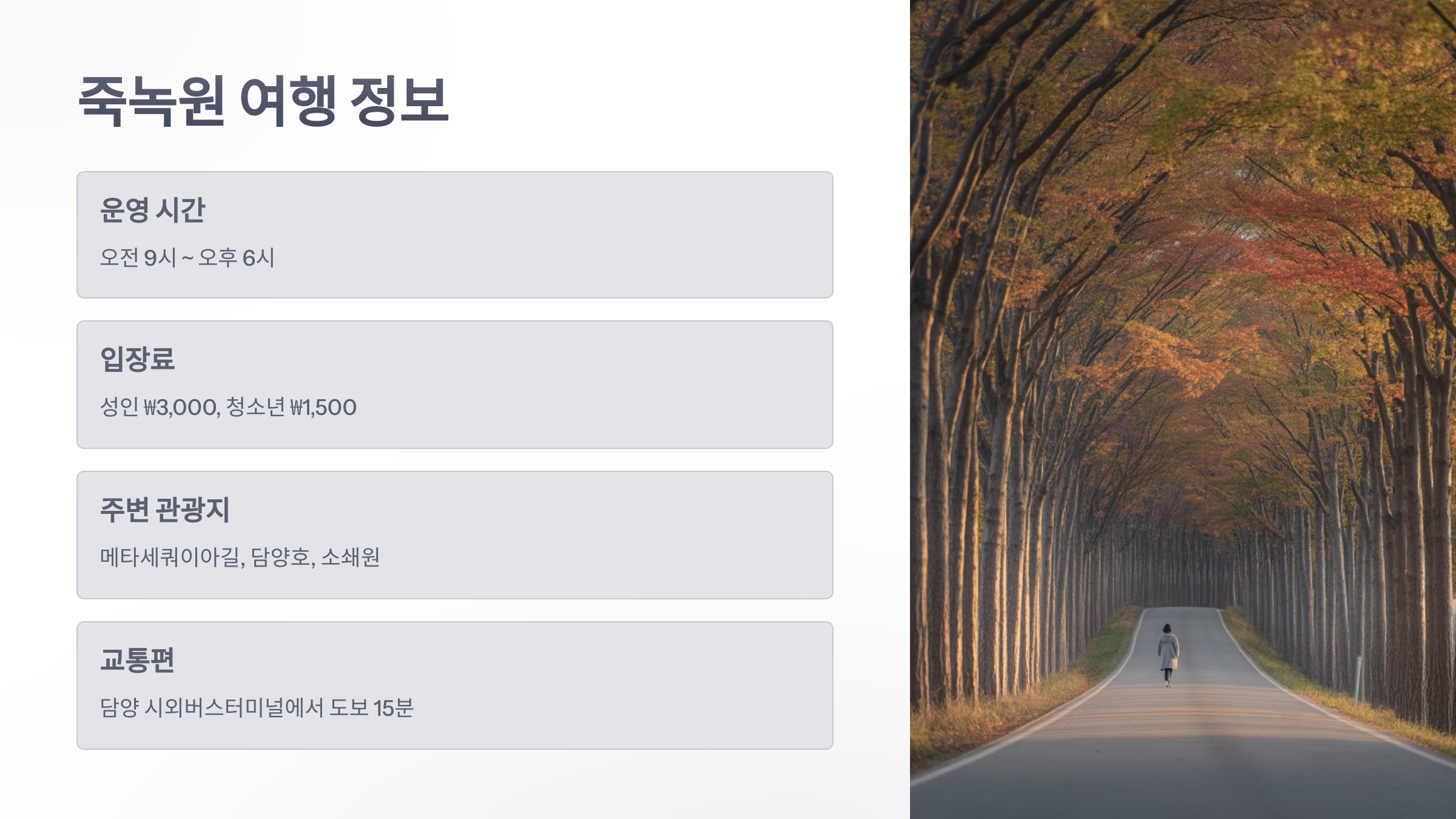 참조-죽녹원-5