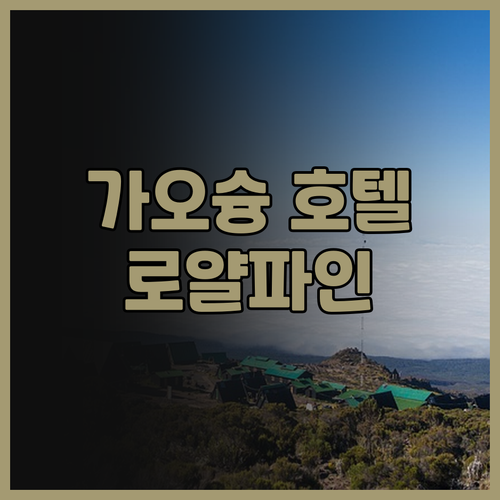 가오슝 로얄 파인 호텔 실제 투숙객 ..