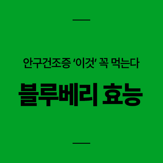 몸에 좋은 과일로 블루베리가 자꾸 TV에 등장하는 이유는?