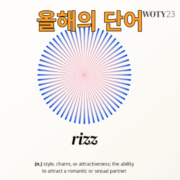 올해 2023년도 단어:&#39;Rizz&#39; 를 아시나요?