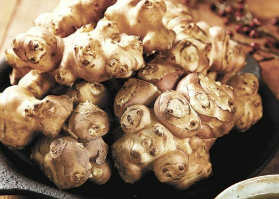 돼지감자 효능 먹는 방법&amp;#44; 수확 시기&amp;#44; 차 만드는 법 확인