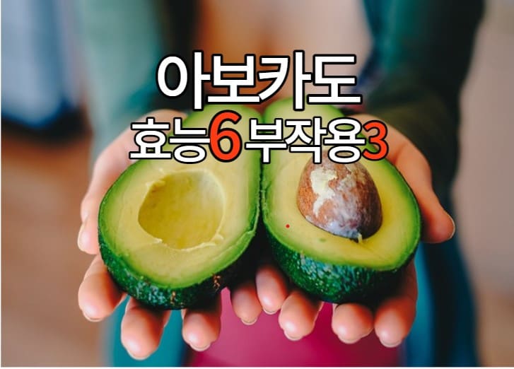 아보카도 대표 이미지