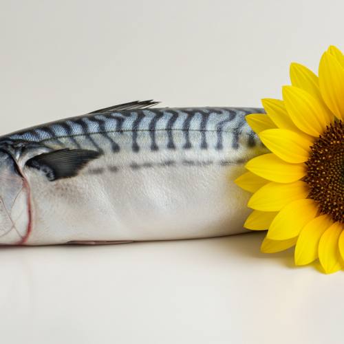 포스파티딜세린 많이든 음식 사진