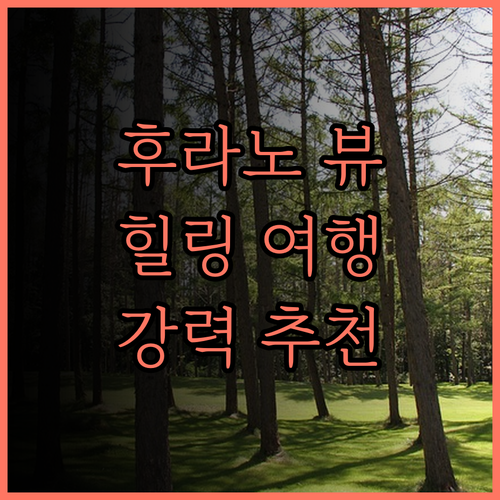 리조트 인 노스 컨트리 후라노 뷰 맛