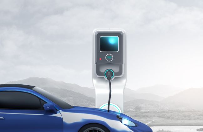 더블유씨피 수요예측