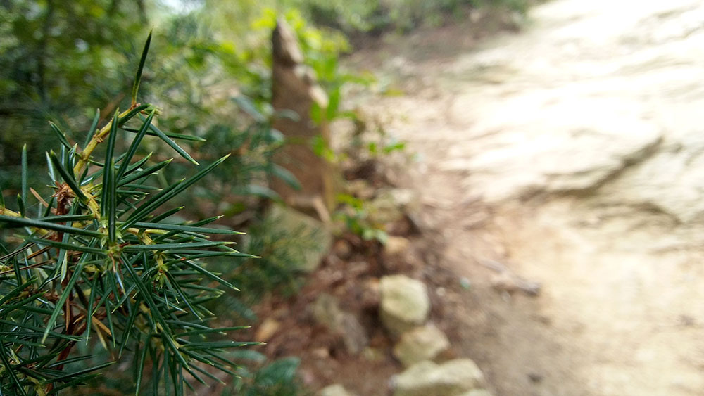 대모산·우면산 '악플러'