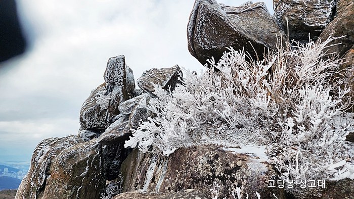 금정산 고당봉 상고데