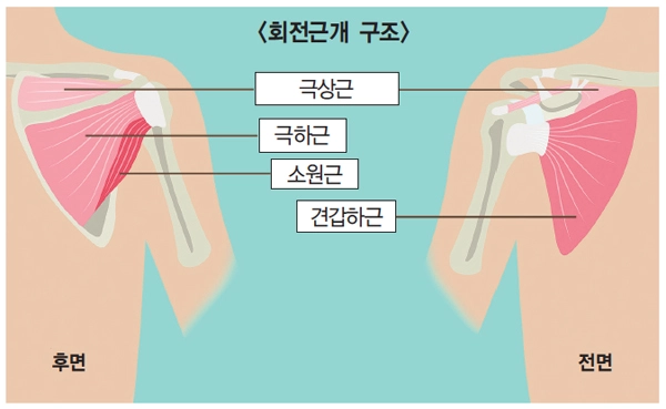 회전근개