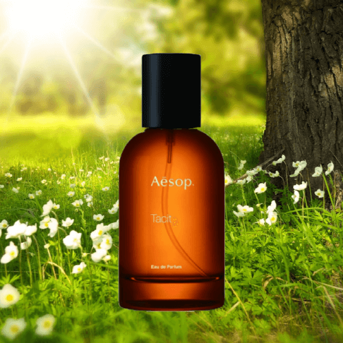 이솝-테싯-향수