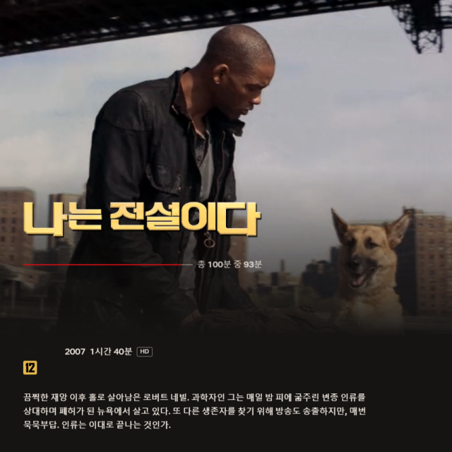 주인공(윌 스미스)이 개를 바라보고 있는 장면