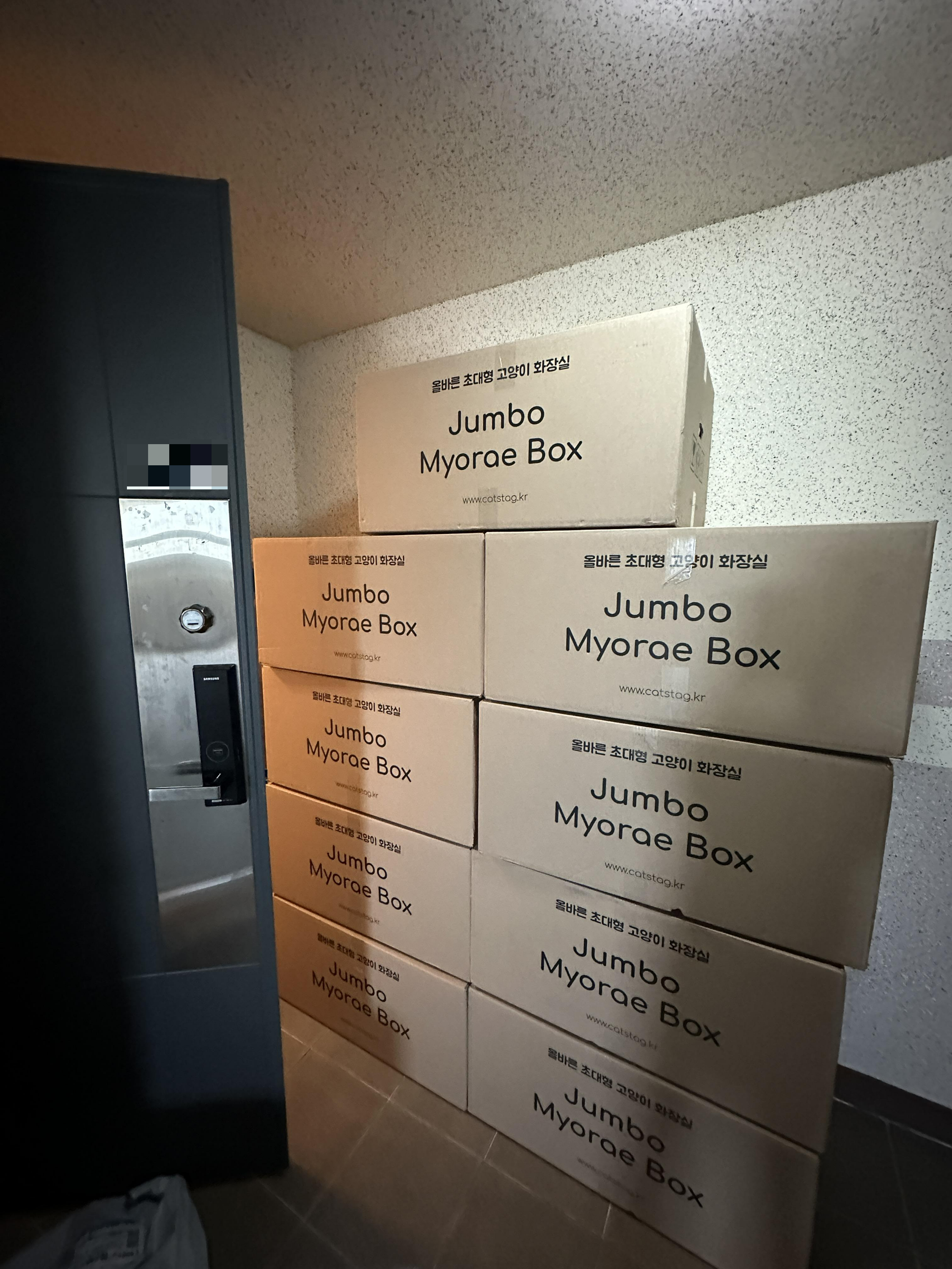 냥냥이들 화장실을 교체했다!(feat.화장실을 교체 해야 하는 이유)