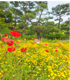 곤지암 화담숲 예약