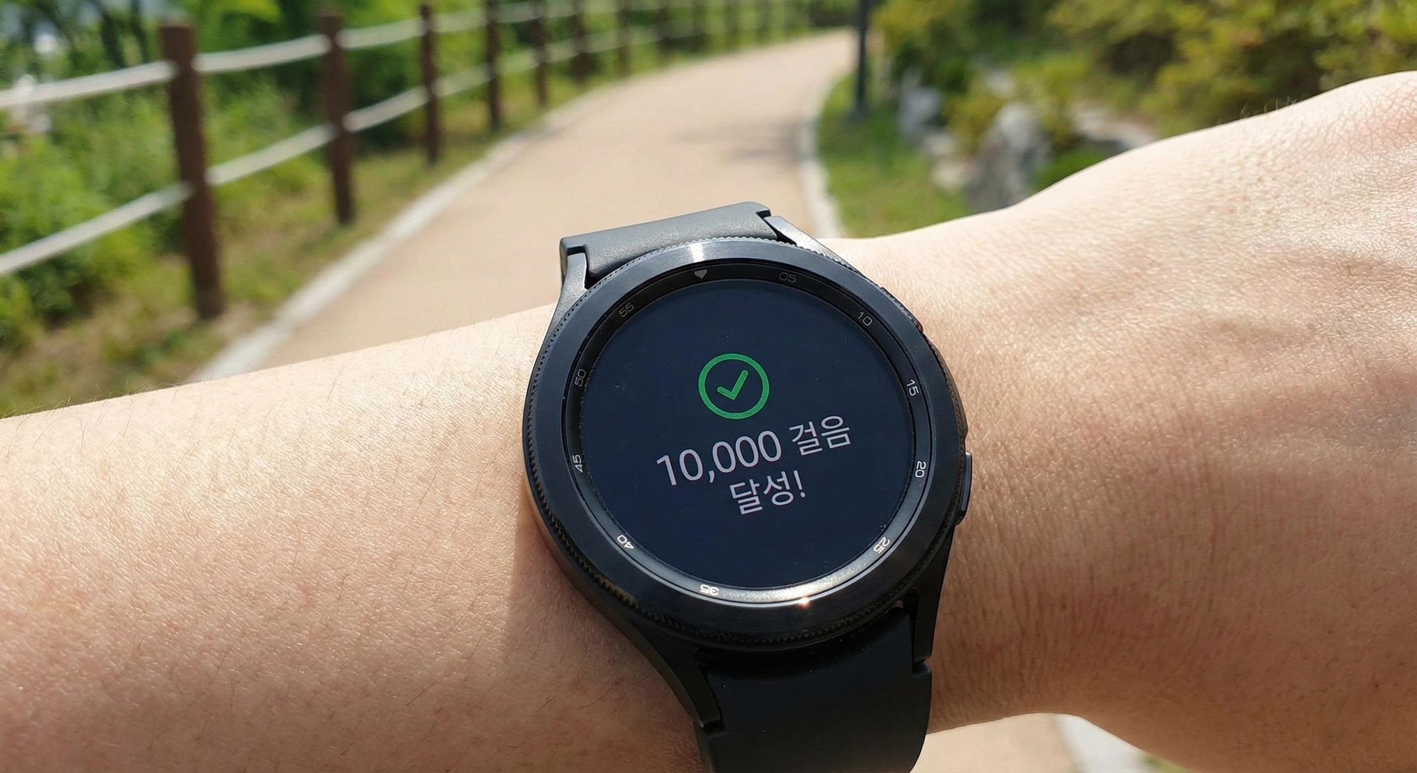 최고의 장 영양제