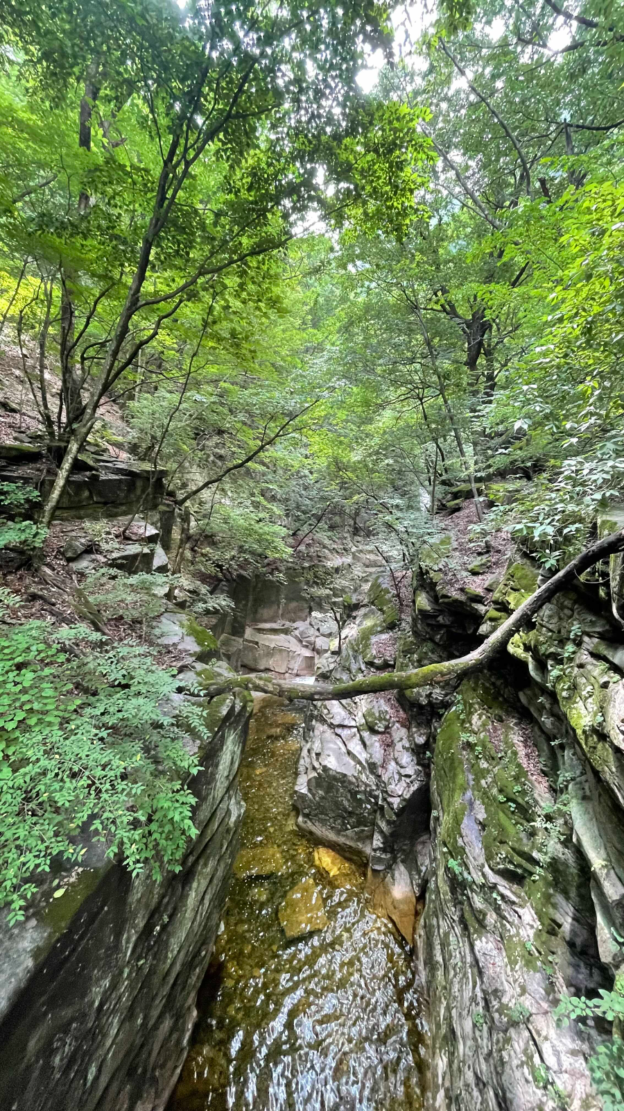 쌍폭포 가는 길 협곡