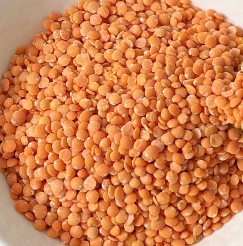 렌틸콩 먹는 방법