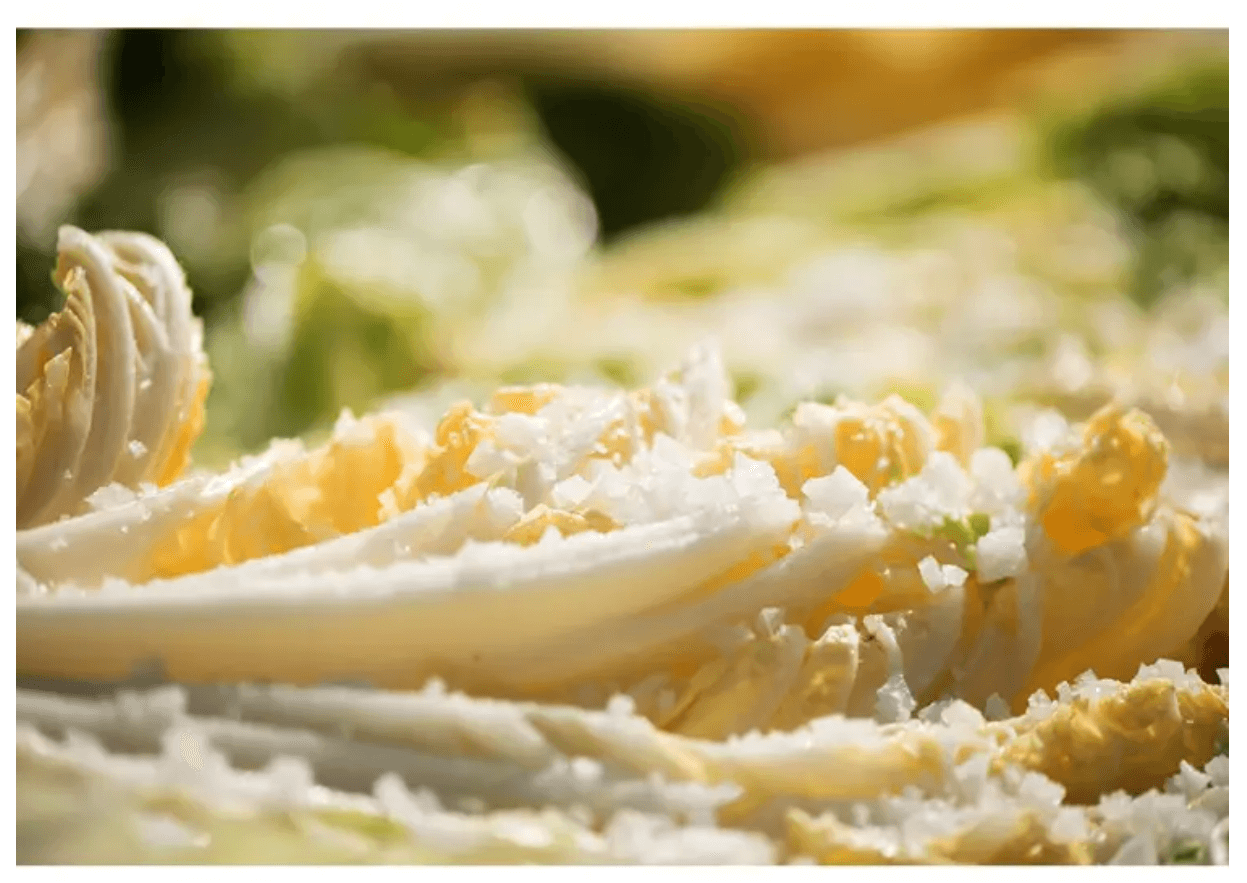 2024 김장철 절임배추 이마트 홈플러스 롯데마트 사전예약,구매하기,김장김치,이마트 절임배추, 홈플러스 절임배추,롯데마트 절임배추,롯데ON 절임배추,구매하기,절임배추 배송, 절임배추 사전예약기간, 대형마트 절임배추,해남절임배추,괴산절임배추,절임배추20kg,절임배추 가격,절임배추 배송기간,강원도절임배추,배추,배추가격