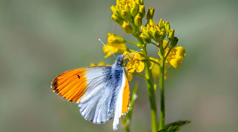 건설현장 전기설비, 안전점검