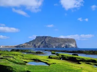 성산포항 여객터미널 우도 배시간표 배편 예약 요금_46