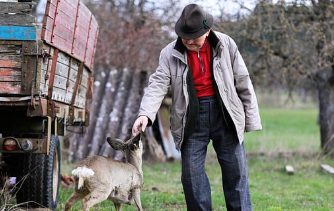 65세이상-노인-혜택