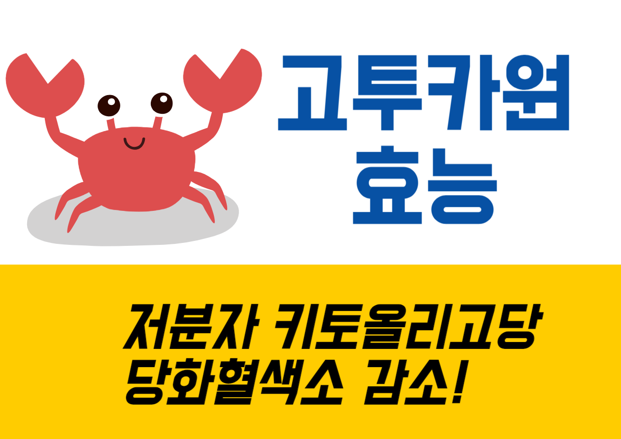 안녕하세요, 오늘은 우리 몸에 좋은 '키토올리고당'에 대해 이야기해볼 거예요. 게나 가재 같은 갑각류 껍데기에서 추출한 이 신기한 성분이 우리 건강에 어떤 도움을 주는지 함께 알아봐요!